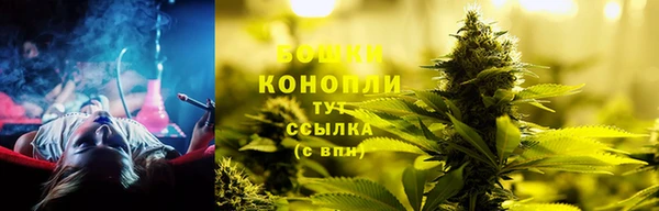 PSILOCYBIN Михайловск