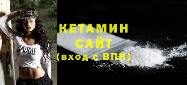 крисы Кемь