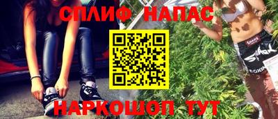 мдпв Будённовск