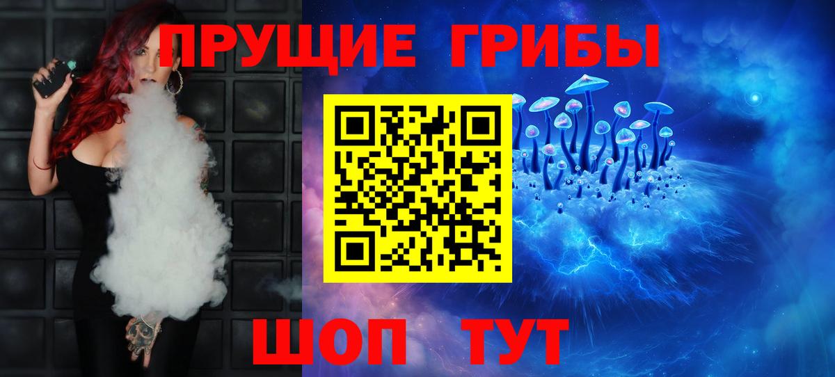 Псилоцибиновые грибы GOLDEN TEACHER  цены наркотик  Нововоронеж  Псилоцибиновые грибы мухоморы  Вход с VPN 